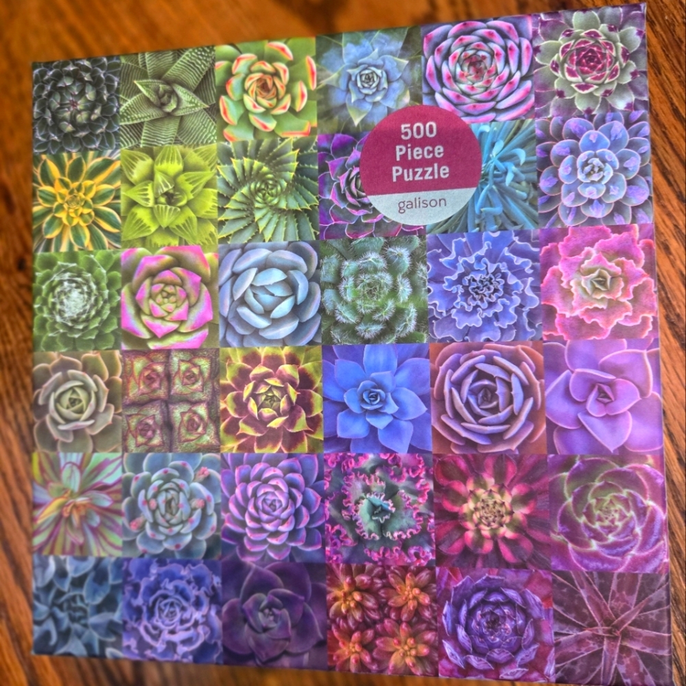 500 piece jigsaw puzzle